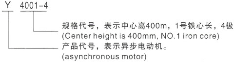 西安泰富西玛Y系列(H355-1000)高压YR6303-6/1600KW三相异步电机型号说明